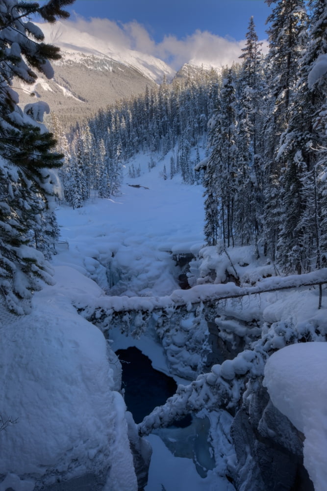 Snow-Covered Frozen Sunwapta Falls In Winter Jasper National Park Alberta Canvas Art - Dan Jurak Design Pics (22 x 34)
