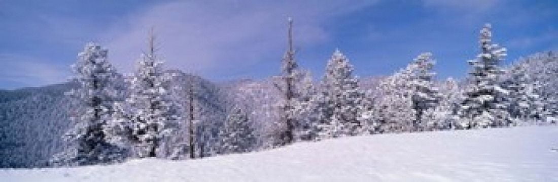 Snow Covered Landscape Colorado Canvas Art - Panoramic Images (37 x 12)