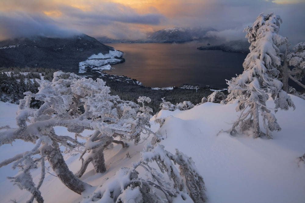 Snow Covered Mountain Hemlock Trees On A Subalpine Ridge Overlooking Zimovia Strait Wrangell Island Tongass National Forest Southeast Alaska Canvas Art - Quentin Smith Design Pics (17 x 11)