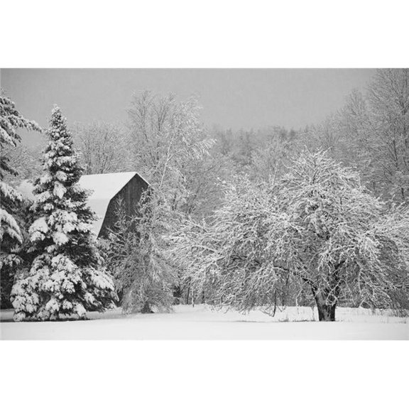 Snow Covered Trees & Rooftop of A Barn - Waterloo Quebec Canada Poster Print - 19 x 12 in.