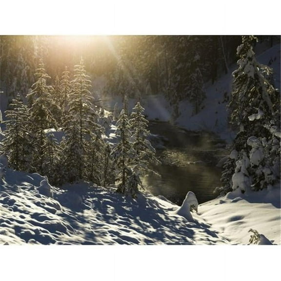 Snow Covered Trees Yoho National Park - British Columbia Canada Poster Print by Keith Levit - 19 x 14