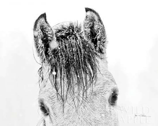 Snow Daze II Canvas Art - Lisa Cueman (24 x 30)