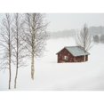 thumbnail image 1 of Snow Falling Over A Rural Landscape And A Small Red Building; Arjeplog Norrbotten County Sweden by Keith Levit / Design Pics, 1 of 3