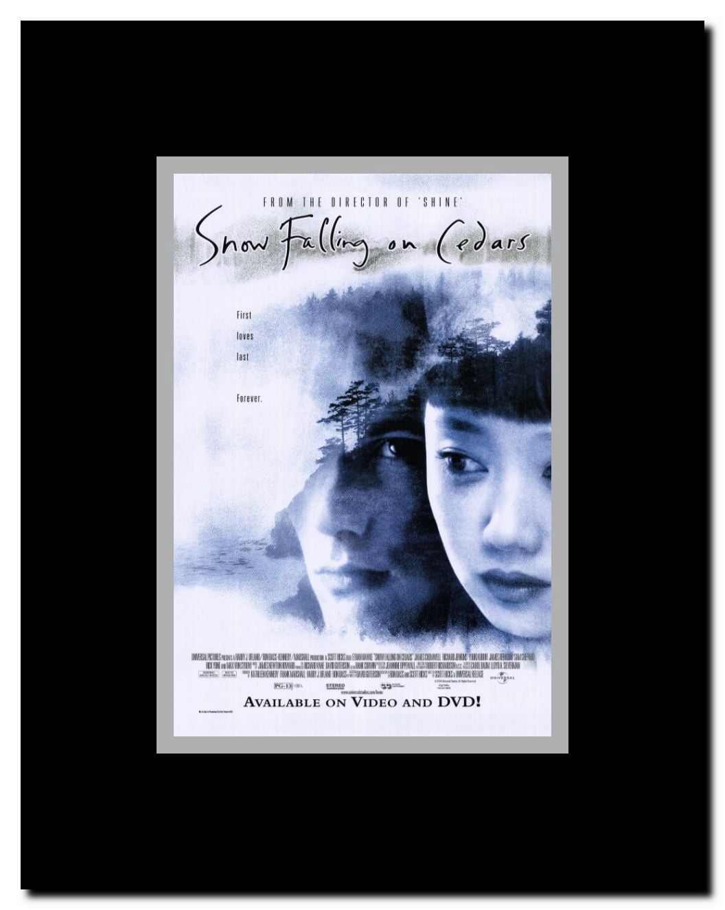 Snow Falling on Cedars Framed Movie Poster