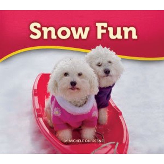Pre-Owned Snow Fun (Paperback) 1584533811 9781584533818