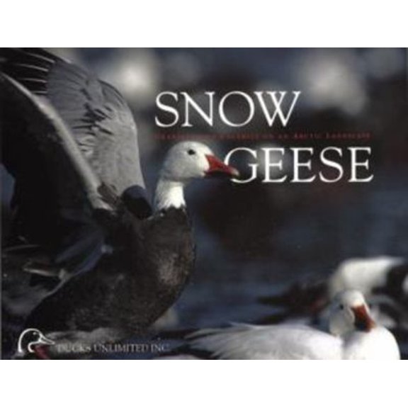 Pre-Owned Snow Geese: Grandeur and Calamity on an Arctic Landscape (Paperback) 1572231823 9781572231825