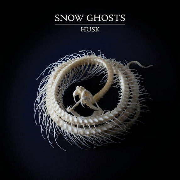 Snow Ghosts - Husk - Electronica - Vinyl