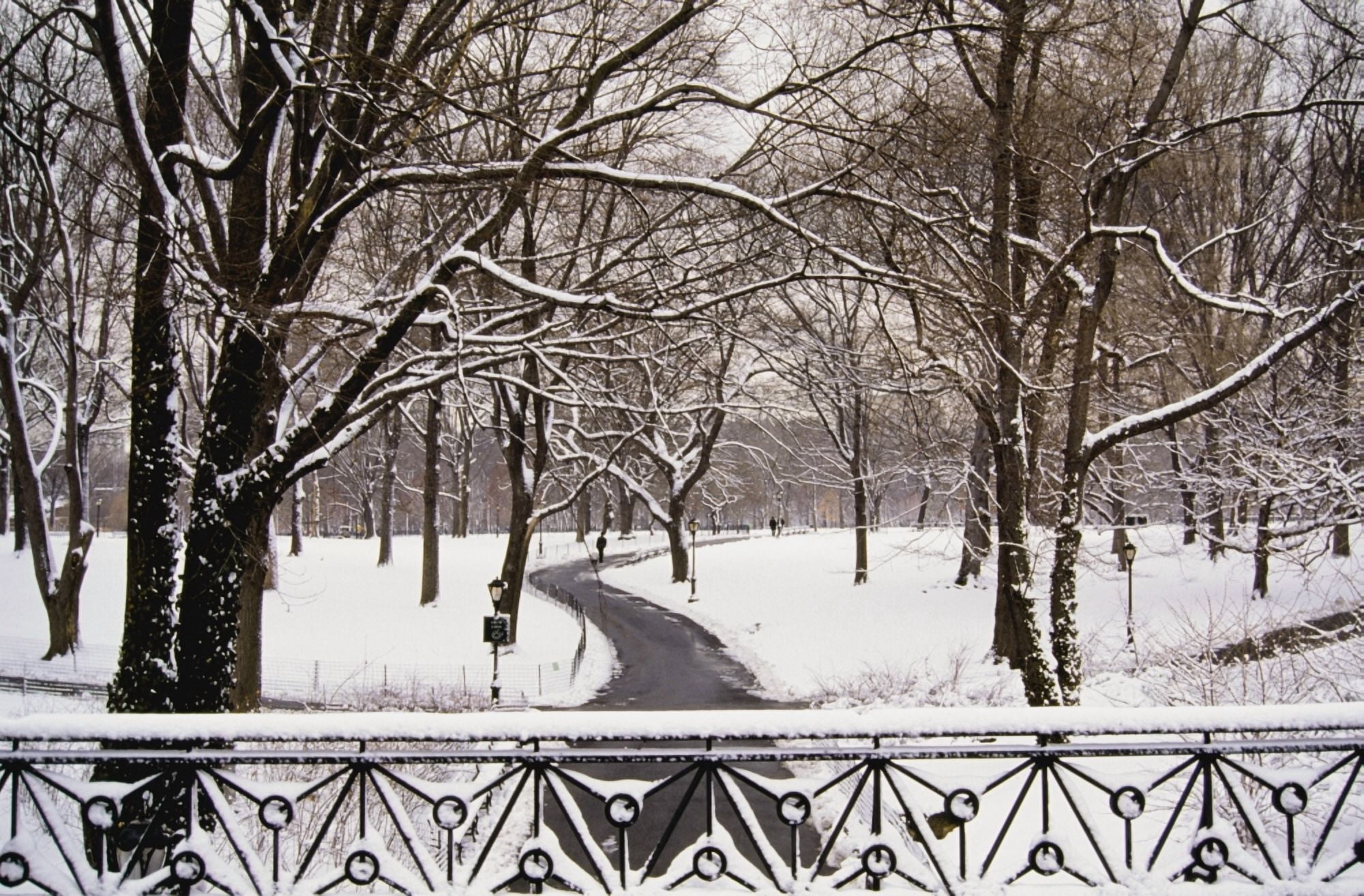Snow In Central Park Canvas Art - Ellen Rooney Design Pics (19 x 12)