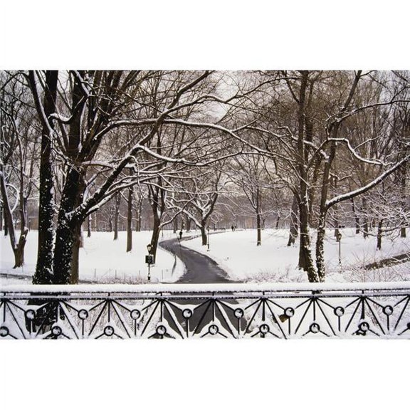 Snow In Central Park Poster Print, 19 x 12