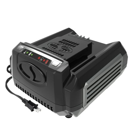 Snow Joe + Sun Joe iON100V-RCH Rapid Charger for 100 Volt iON100V Series Tools - Black