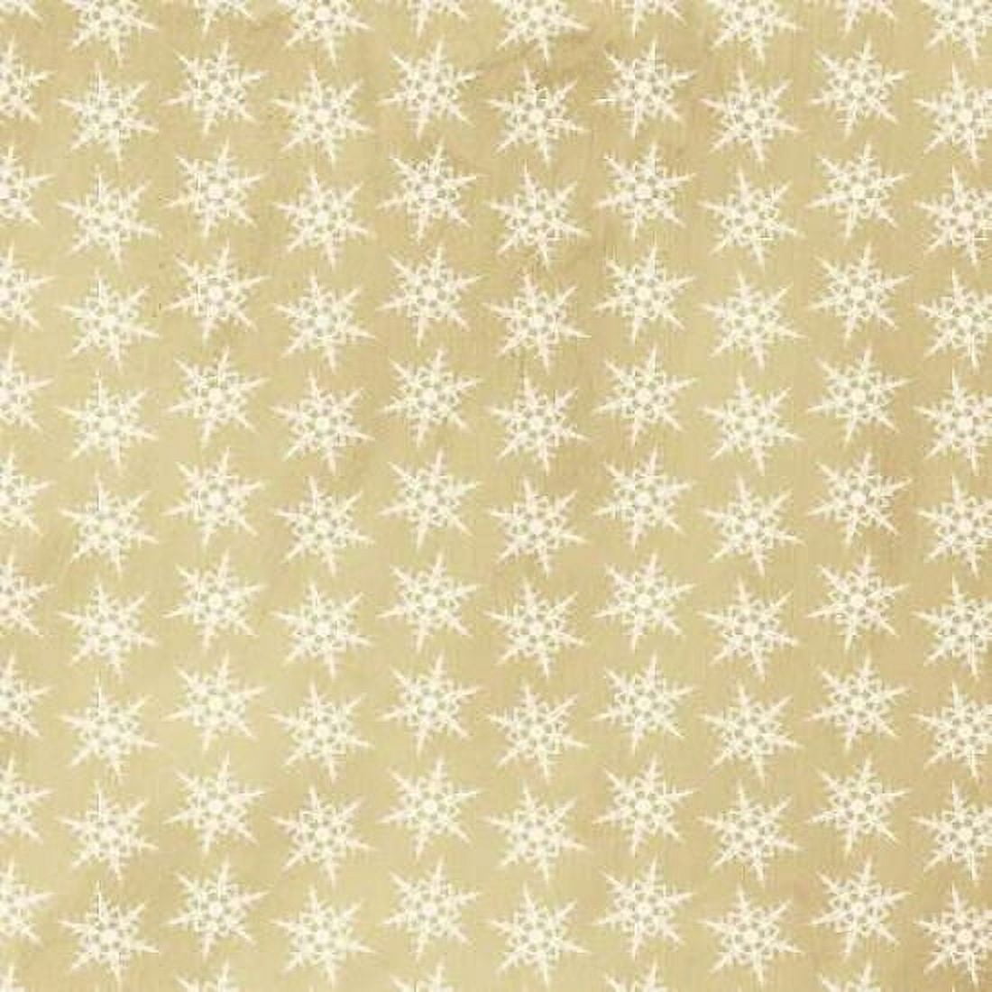 Snow Kraft 3 Canvas Art - Linda Woods (24 x 24)