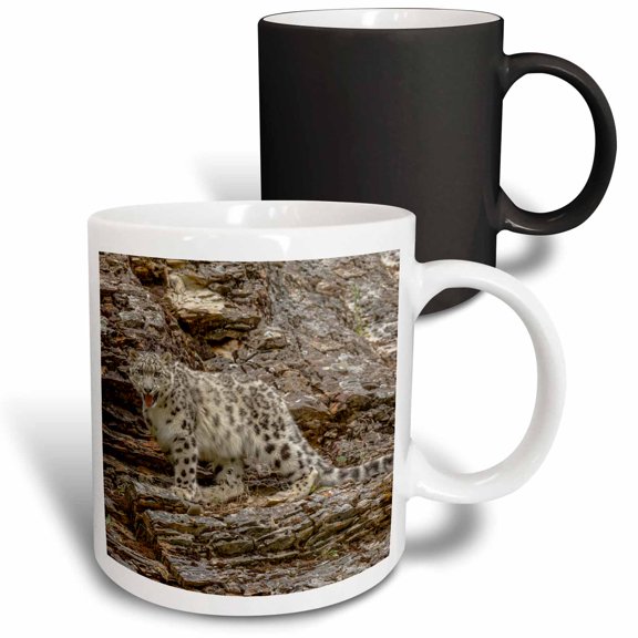 3drose, Snow Leopard, Threatened Species, Native to Central and South Asia, 11oz Magic Transforming Mug