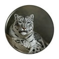 thumbnail image 1 of Snow Leopard on Ledge Pinback Button Pin, 1 of 5