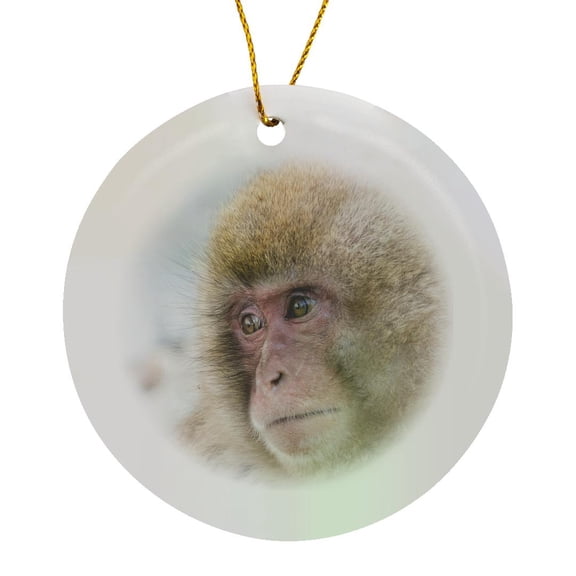 3drose, Snow Monkeys, Nagano, Japan, Circle Porcelain Ornament