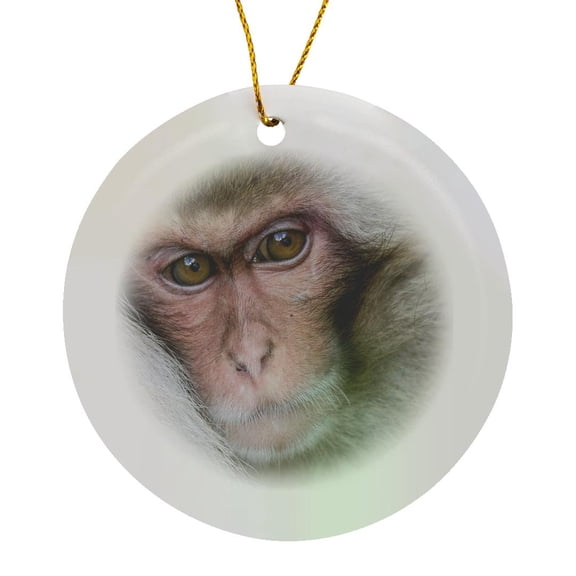 3drose, Snow Monkeys Wintering in Nagano, Japan, Circle Porcelain Ornament