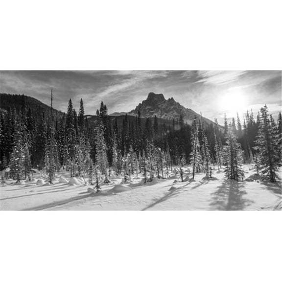 Snow On The Rugged Canadian Rocky Mountains & A Snow Covered Field Yoho Poster Print by Keith Levit - 21 x 10
