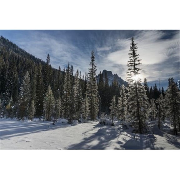 Snow On The Rugged Canadian Rocky Mountains & Trees Yoho National Park - Field British Columbia Canada Poster Print by Keith Levit - 38 x 24 - Large