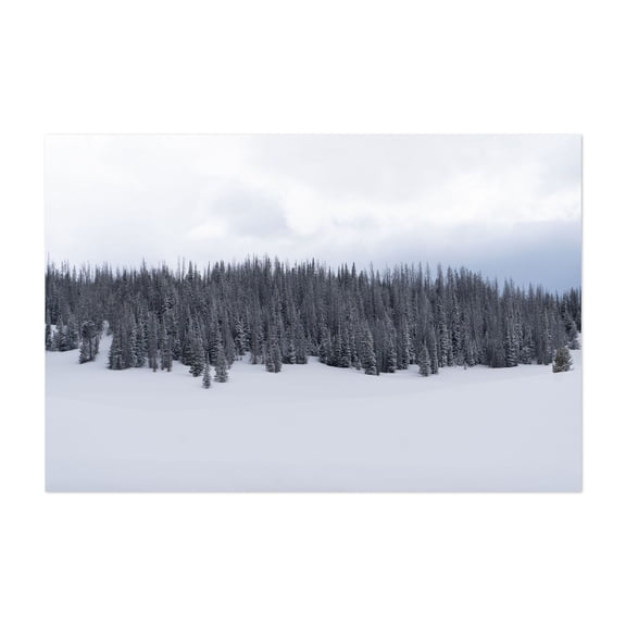 Snow Squall - Photography Winter Snow Forest Landscape Nature Minimalist Mountain Unframed Wall Art Print 4 x 6 inches