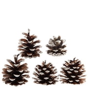 Decoris Set of 5 Pinecones