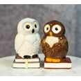 thumbnail image 1 of Snow White And Great Horned Brown Owls On Books Ceramic Salt Pepper Shakers Set, 1 of 5