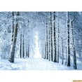 thumbnail image 1 of Snow Winter Forest Photography Backdrops Shrubbery Nature Scery Ferns In Tropical Rainforest Photo Studio Background RR-01, 1 of 5