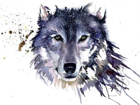 Snow Wolf Canvas Art - Sarah Stokes (18 x 24)