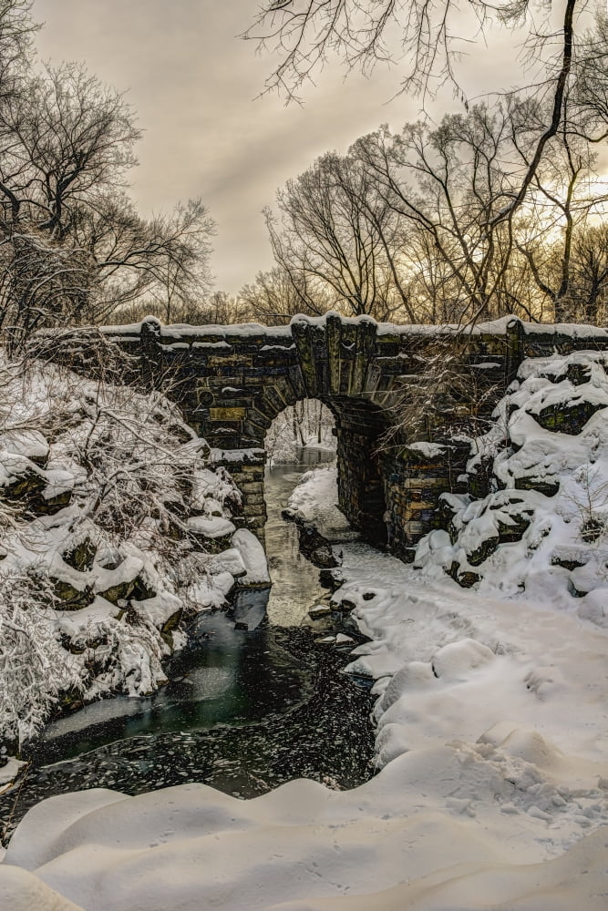 Snow-covered Glen Span Arch Central Park New York City New York United States of America Canvas Art - F M Kearney Design Pics (12 x 19)