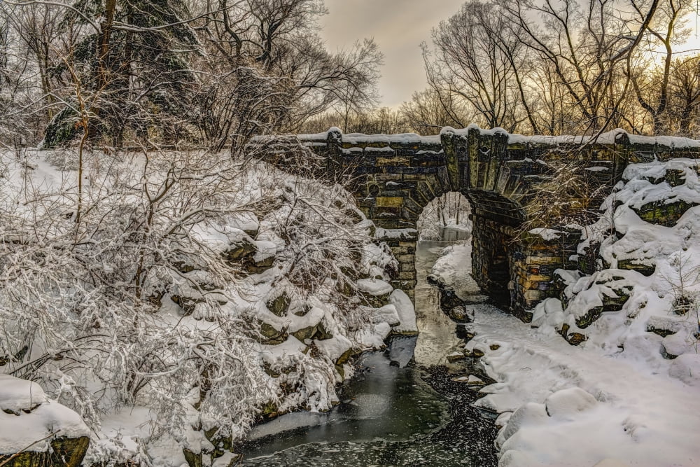 Snow-covered Glen Span Arch Central Park New York City New York United States of America Canvas Art - F M Kearney Design Pics (38 x 24)