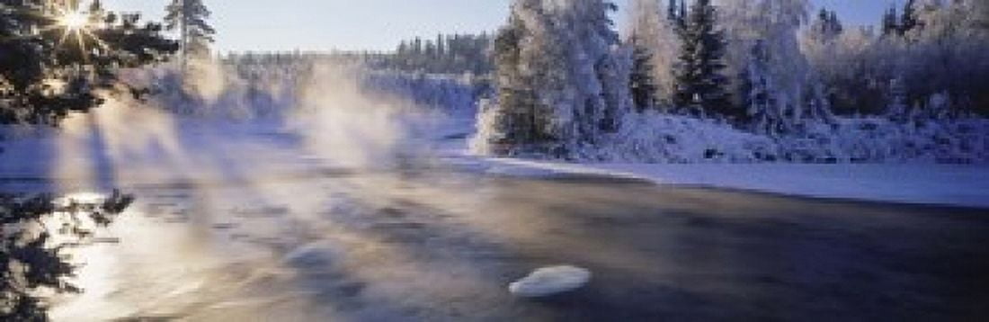 Snow covered laden trees Dal River Sweden Canvas Art - Panoramic Images (18 x 6)