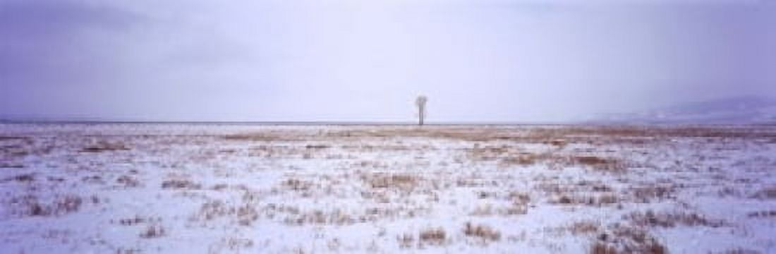 Snow covered landscape in winter Antelope Flat Grand Teton National Park Wyoming USA Canvas Art - Panoramic Images (18 x 6)