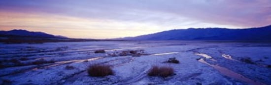 Snow covered landscape in winter at dusk Temple Sinacana Zion National Park Utah USA Canvas Art - Panoramic Images (36 x 12)