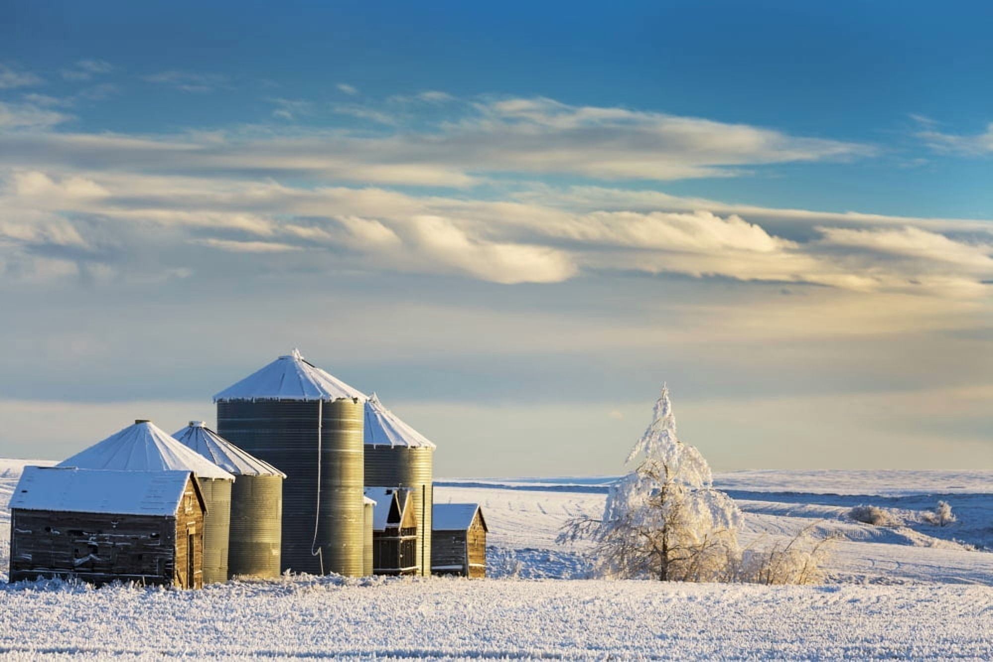 Snow covered metal and wooden grain bins with frosted trees bushes and stubble with clouds and blue sky Rosebud Alberta Canada Canvas Art - Michael Interisano Design Pics (19 x 12)