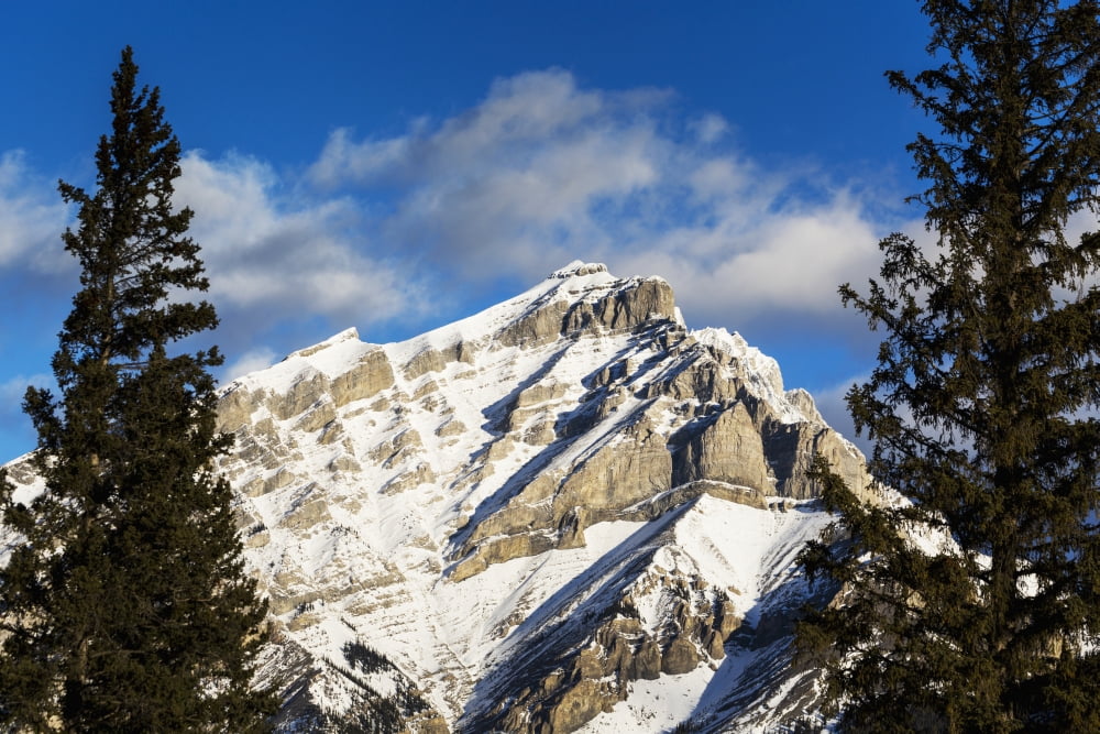 Snow covered mountain framed by evergreen trees with blue sky and clouds Banff Alberta Canada Canvas Art - Michael Interisano  Design Pics (19 x 12)