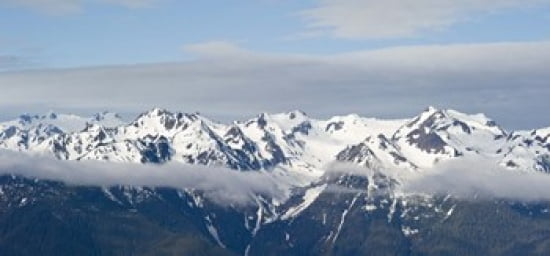Snow covered mountains Hurricane Ridge Olympic National Park Washington State USA Canvas Art - Panoramic Images (24 x 12)