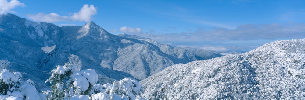Snow-covered mountains in Sequoia National Park California Canvas Art - Panoramic Images (36 x 12)