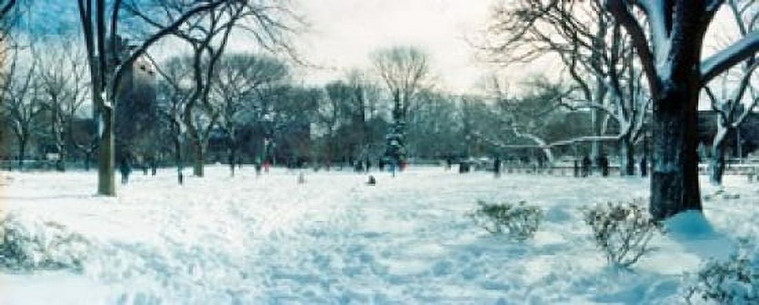 Snow covered park Lower East Side Manhattan New York City New York State USA Canvas Art - Panoramic Images (30 x 12)