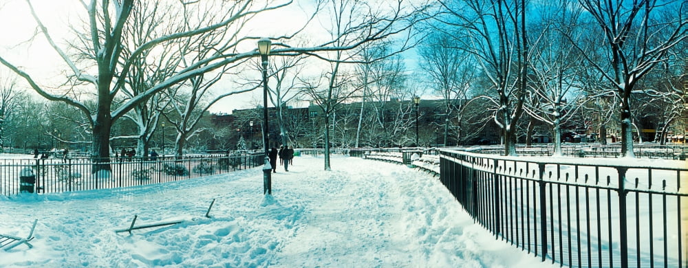 Snow covered park Lower East Side Manhattan New York City New York State USA Canvas Art - Panoramic Images (36 x 12)