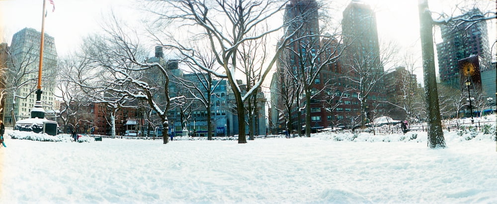 Snow covered park Union Square Manhattan New York City New York State USA Canvas Art - Panoramic Images (36 x 12)