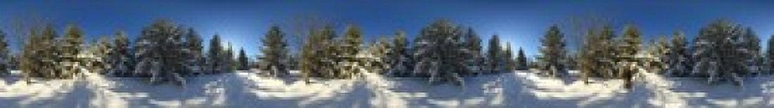 Snow covered pine trees Quebec Canada Canvas Art - Panoramic Images (22 x 4)