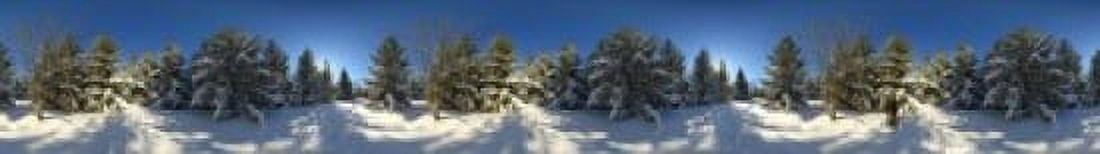 Snow covered pine trees Quebec Canada Canvas Art - Panoramic Images (44 x 7)