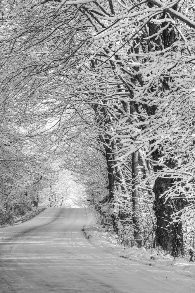 Snow covered road in a Canadian winter Ville de Lac Brome Quebec Canada Canvas Art - David Chapman Design Pics (12 x 19)