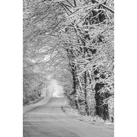 Snow covered road in a Canadian winter Ville de Lac Brome Quebec Canada Canvas Art - David Chapman Design Pics (12 x 19)