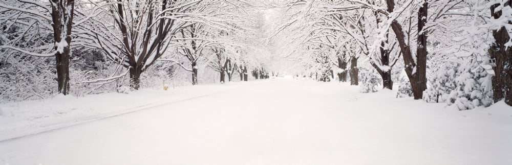 Snow covered road in winter Holland Michigan USA Canvas Art - Panoramic Images (36 x 12)