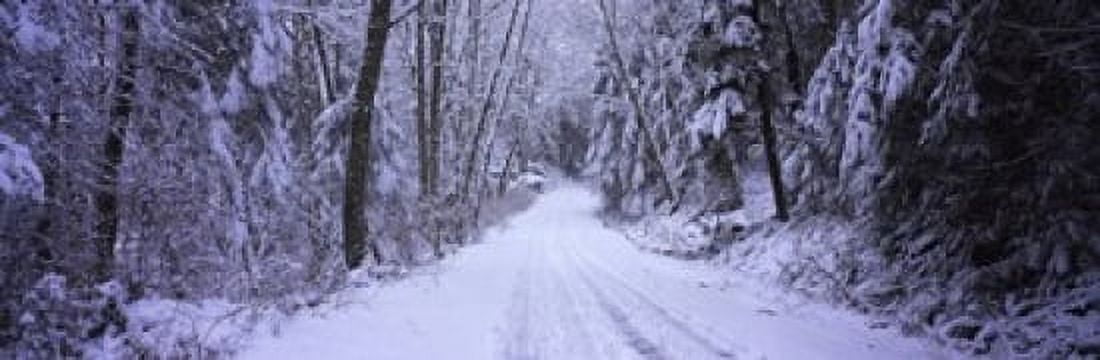 Snow covered road passing through a forest Fidalgo Island Skagit County Washington State USA Canvas Art - Panoramic Images (36 x 12)