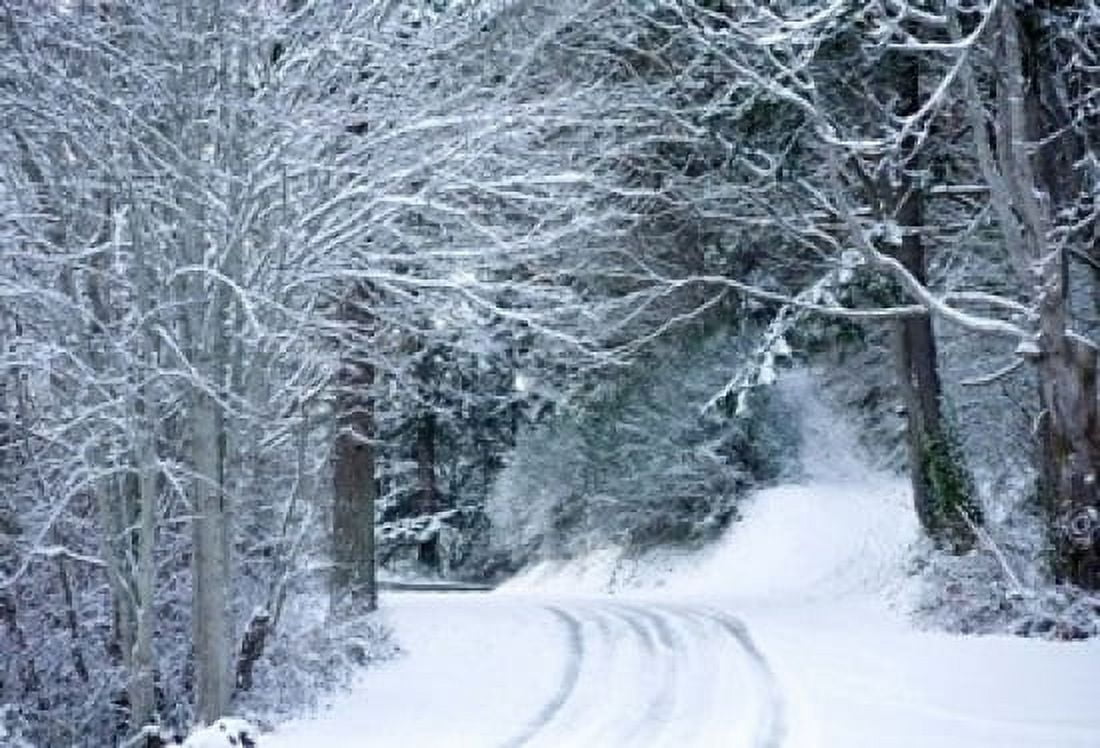 Snow covered road passing through a forest Washington State USA Canvas Art - Panoramic Images (36 x 24)