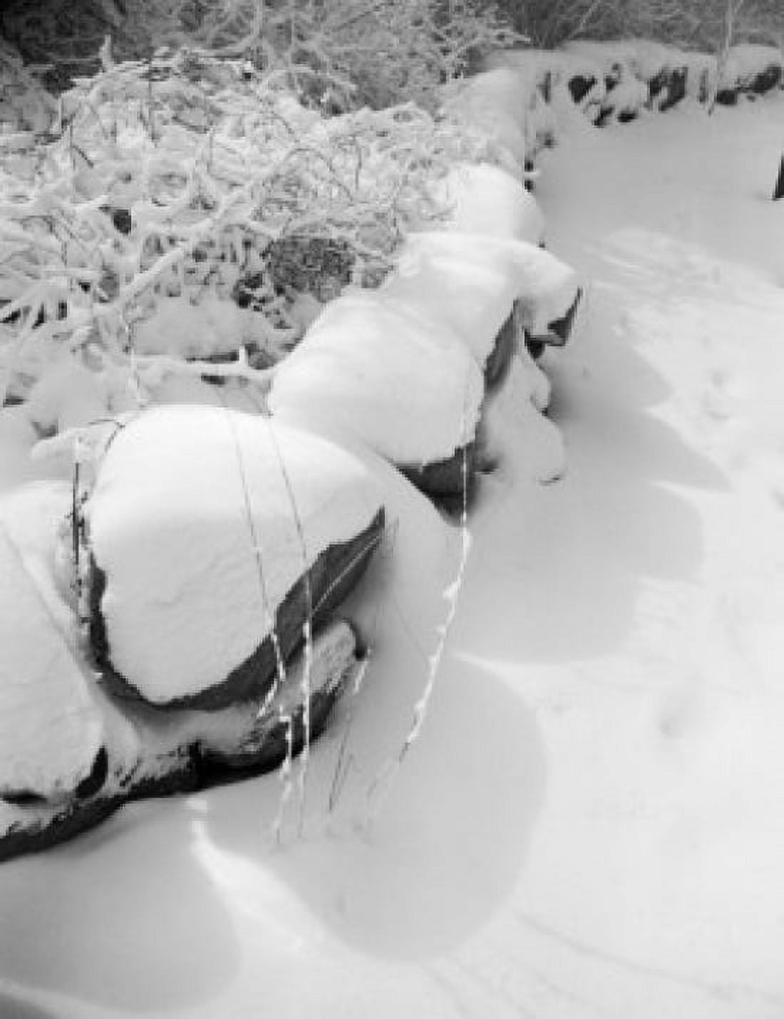 Snow covered stone wall Canvas Art - (24 x 36)
