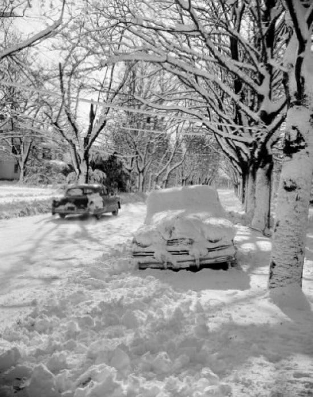 Snow covered street and cars Canvas Art - (18 x 24)