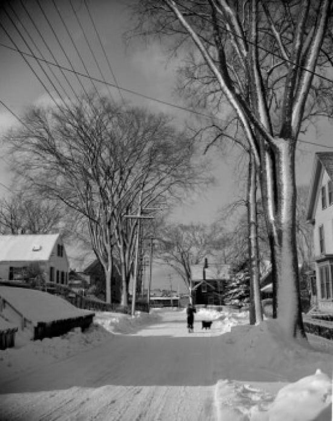 Snow covered town Canvas Art - (24 x 36)