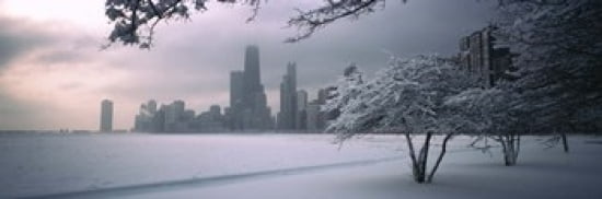 Snow covered tree on the beach with a city in the background North Avenue Beach Chicago Illinois USA Canvas Art - Panoramic Images (36 x 12)
