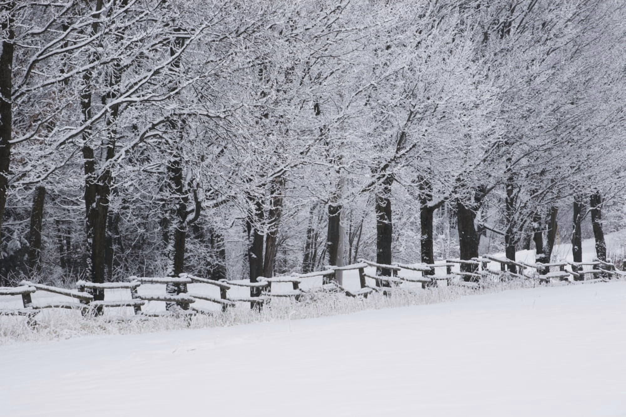 Snow covered trees along a fence and field in winter Bromont Quebec Canada Canvas Art - David Chapman Design Pics (38 x 24)